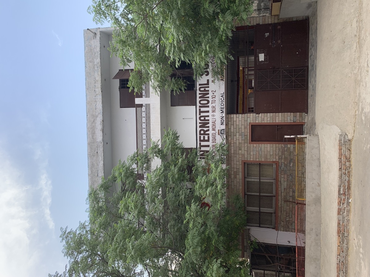 P. Royal International School campus